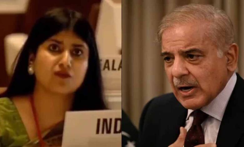 अंतरराष्ट्रीय मंचों के जरिए भारत सरकार लगातार पाकिस्तान को पोल खोलने में जुटी, ‘आतंकवाद का जन्मदाता है पाकिस्तान’