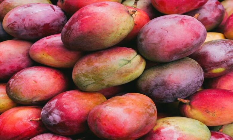 japan-mango-ban:-जापान-ने-भारतीय-आमों-पर-लगाया-बैन,-जानिए-वहां-किस-आम-की-सबसे-ज्यादा-डिमांड